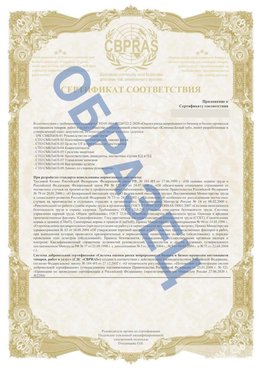 Образец Приложение к СТО 01.064.00220722.2-2020 Боровск Сертификат СТО 01.064.00220722.2-2020 